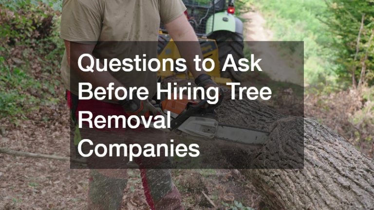 Questions to Ask Before Hiring Tree Removal Companies