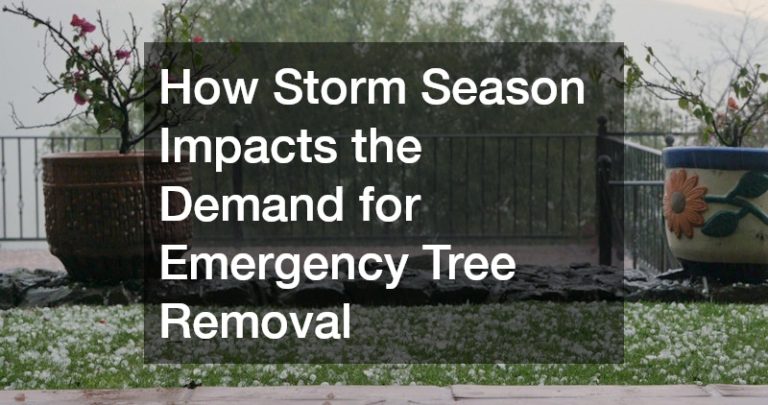 How Storm Season Impacts the Demand for Emergency Tree Removal