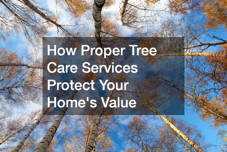 How Proper Tree Care Services Protect Your Homes Value